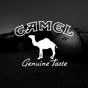 CAMEL-Cutting